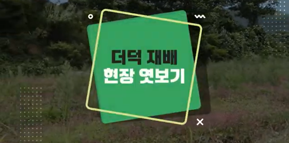 [Mobile 겸용] 재배기술 현장 엿보기 시리즈(산더덕편)