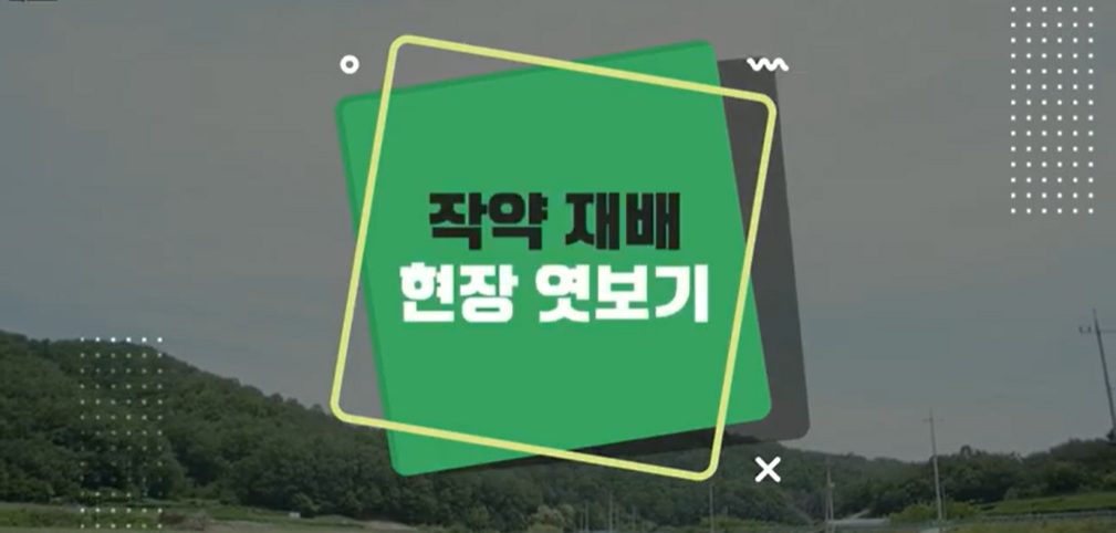 [Mobile 겸용] 재배기술 현장 엿보기 시리즈(작약편)